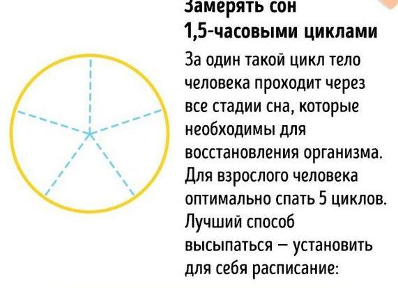 Шесть оптимальных расписаний сна