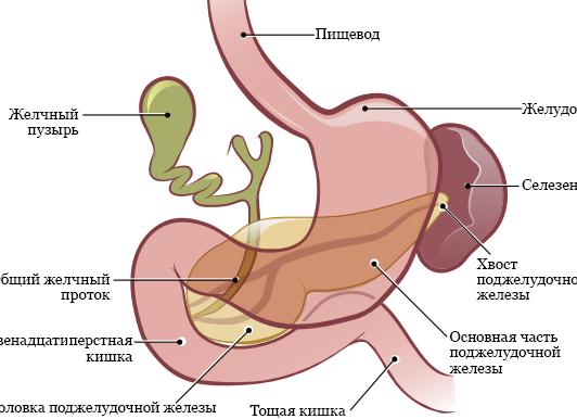 Что следует вспомнить, если тебя увольняют