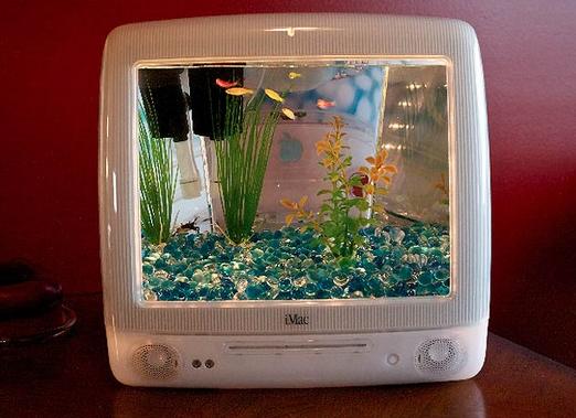 Заставка аквариум для mac
